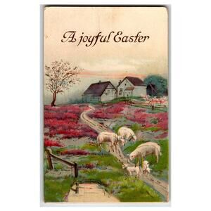 Vintage Easter Postcard Sheep Lambs Farmhouse Elmira NY Postmarked German Print